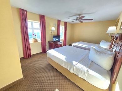 Carpeted bedroom with multiple windows and ceiling