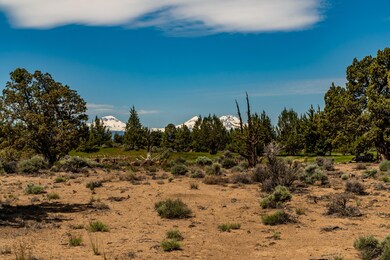 1. Lot 181, Pronghorn-15