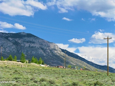 00402304 U S 93, McGill, NV 89319 - photo 7