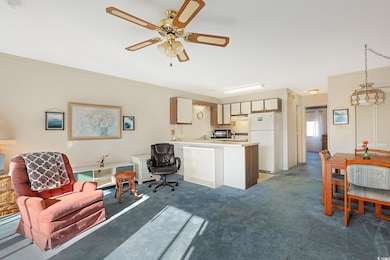 510 Fairwood Lakes Dr unit 12-D, Myrtle Beach, SC 29588 - photo 3