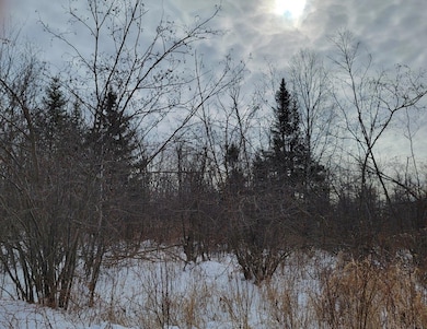 off N Weirgor Rd unit 5 Acres, Exeland, WI 54835 - photo 6