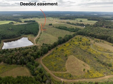 000 Easement unit Goff Rd, Quitman, AR 72131 - photo 5