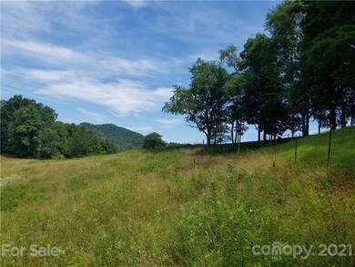 560 Mckinney Rd, Burnsville, NC 28714 - photo 7