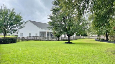 06 Big Back Yard