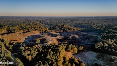 0 Mississippi 440, West, MS 39192 - photo 2