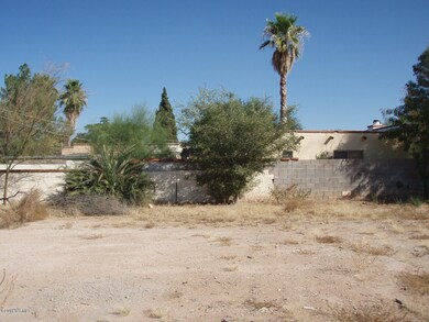 Looking into the Lot, Facing south