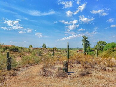 Camino del Santo 2