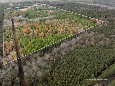 1561_Shubuta_Eucutta_Rd-2