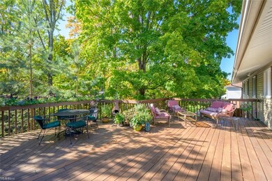 133 Greenbriar Dr, Aurora, OH 44202 - photo 5