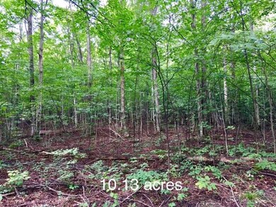 Myrtle Ln 10.13 Acres