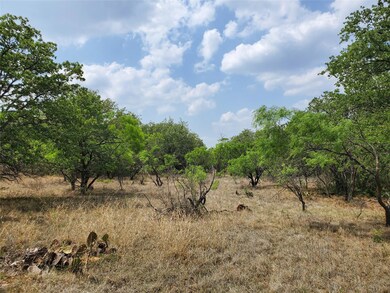 View of nature