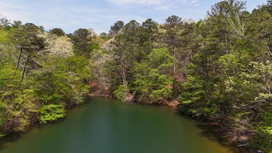 DJI_20240416103219_0084_D