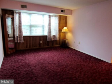824 South Ave unit P1, Secane, PA 19018 - photo 6
