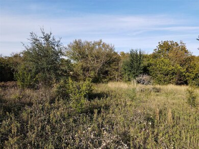 22047 Raintree Ct, Whitney, TX 76692 - photo 4