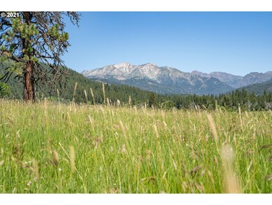 47130 Ryall Rd, Halfway, OR 97834 - photo 4