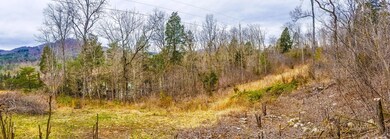 00 Pl Colyer Rd, Somerset, KY 42503 - photo 7