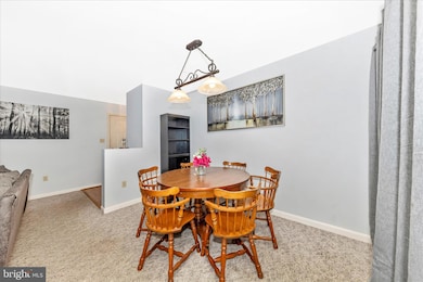 3855 Shadywood Dr unit 2D, Jefferson, MD 21755 - photo 5