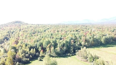 R.O.W. can be see on the left through the trees.