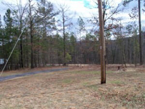View of front yard