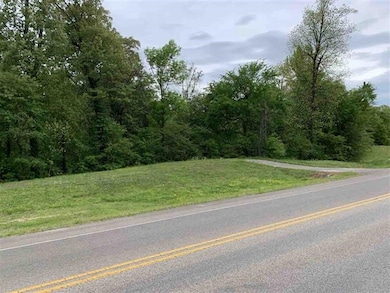 2.47 acres W Washington, Jonesboro, AR 72401 - photo 3