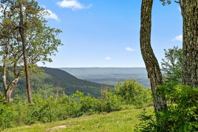 0 Sunset Cir unit 1505065, Jasper, TN 37347 - photo 7