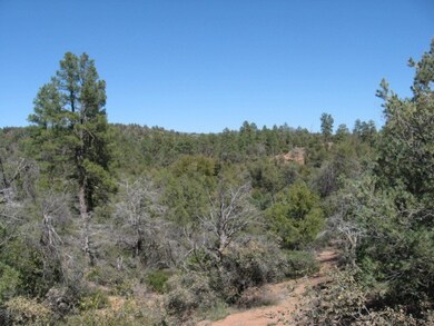 Lot 6B Valley Rd unit 6B, Payson, AZ 85541 - photo 5
