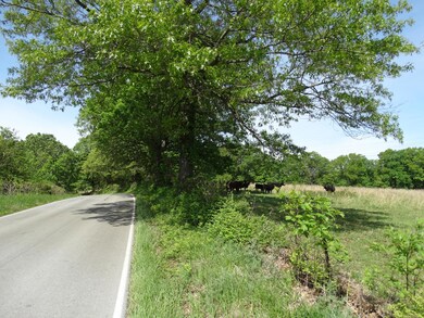 DSC01016