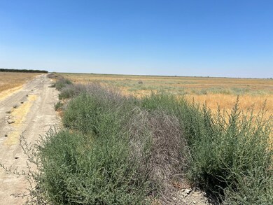 0 Ave 56 unit 2 633825, Alpaugh, CA 93201 - photo 3