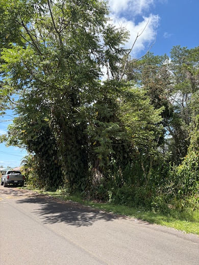 0 Anthurium Dr unit 720372, Pahoa, HI 96778 - photo 3