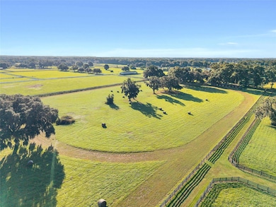 TBD SW 100th St, Ocala, FL 34476 - photo 6