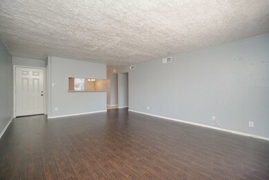 View from living room to kitchen and condo entranc