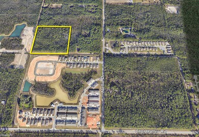 ~10 Acres Nellie Dr, Santa Rosa Beach, FL 32459 - photo 3