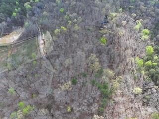 Birds eye view of property with a wooded view