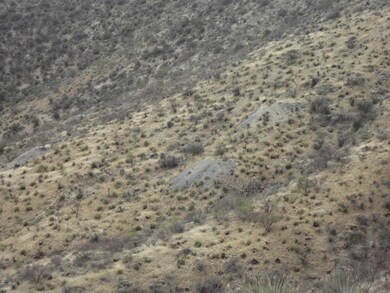 Old Mining Evidence