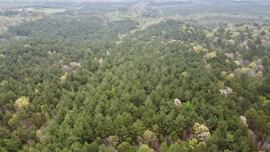 Drone / aerial view of a forest
