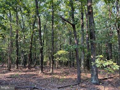 0 Whiskey Still Rd, Berkeley Springs, WV 25411 - photo 6