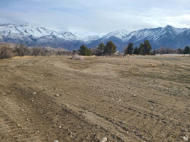 View looking northeast from the southwest side of lot 7