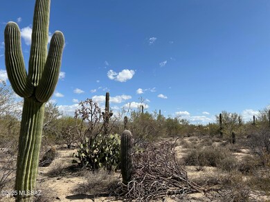 5120 W Lambert Ln, Oro Valley, AZ 85742 - photo 6