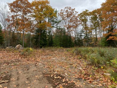 lot 1 Beryls Way