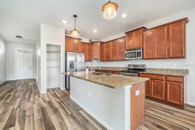 10919 Rainbow Pyrite Dr, Wimauma, FL 33598 - photo 6