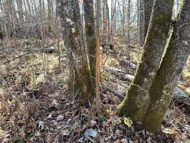 Tbd State Highway 65, Jacobson, MN 55752 - photo 5