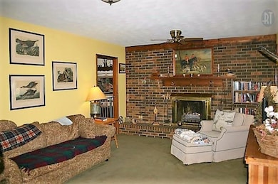 804 Bluestocking Hollow Rd, Shelbyville, TN 37160 - photo 6