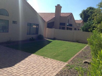 Backyard2