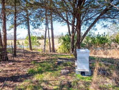 214 Currence Rd, Clover, SC 29710 - photo 6