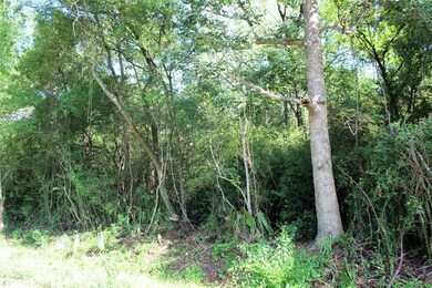 0 River Dr, Conroe, TX 77385 - photo 3