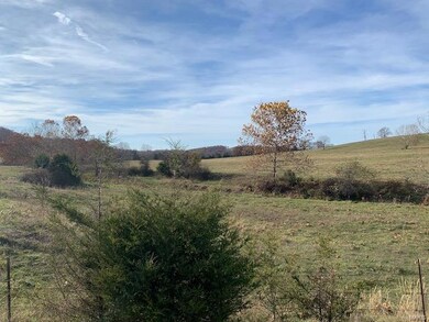 11320 County Road 2140, Rolla, MO 65401 - photo 5