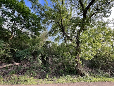 10401 Kenilworth Ave, Algonquin, IL 60102 - photo 3