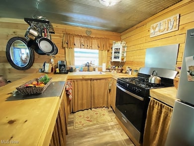 781 Canoe Run Rd, Looneyville, WV 25259 - photo 5