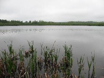 20101020141302423478000000-o