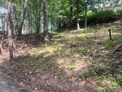 0 Springwood Ave, Ardsley, NY 10502 - photo 2